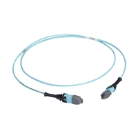 FOTC10M3MP24AQ-30R2: 24-Strand, 30m