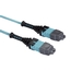 FOTC10M3MP24AQ-10R2: 24-Strand, 10m